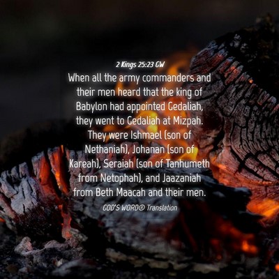 Picture 04 - 2 Kings 25:23 GW - When all the army commanders and their men heard - Bible Verse Picture