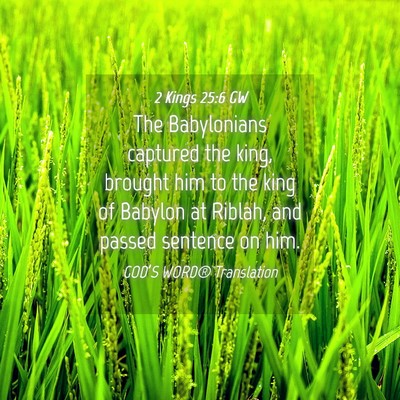 Picture 04 - 2 Kings 25:6 GW - The Babylonians captured the king, brought him to - Bible Verse Picture