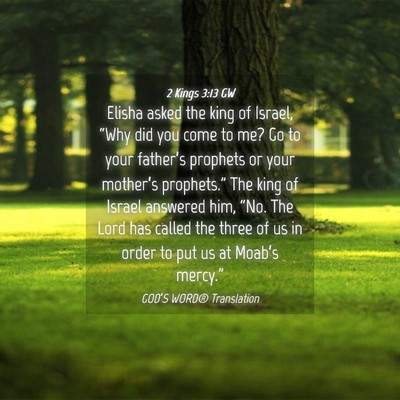 Picture 04 - 2 Kings 3:13 GW - Elisha asked the king of Israel, “Why did you - Bible Verse Picture