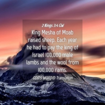 Picture 04 - 2 Kings 3:4 GW - King Mesha of Moab raised sheep. Each year he had - Bible Verse Picture