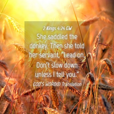 Picture 04 - 2 Kings 4:24 GW - She saddled the donkey. Then she told her - Bible Verse Picture