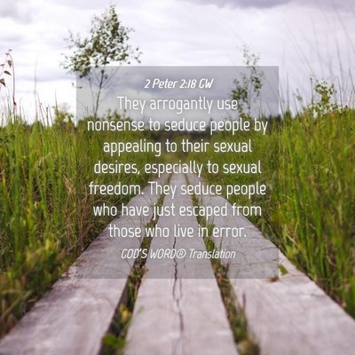 Picture 04 - 2 Peter 2:18 GW - They arrogantly use nonsense to seduce people by - Bible Verse Picture