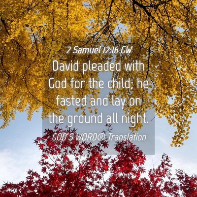 Picture 04 - 2 Samuel 12:16 GW - David pleaded with God for the child; he fasted - Bible Verse Picture