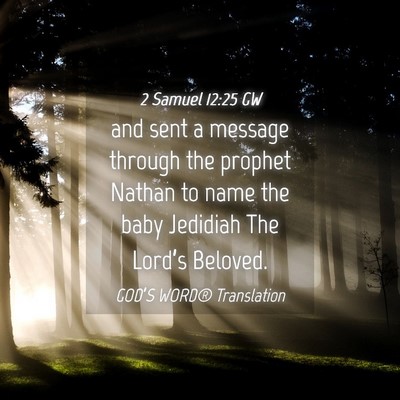Picture 04 - 2 Samuel 12:25 GW - and sent a message through the prophet Nathan to - Bible Verse Picture