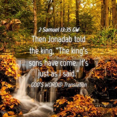 Picture 04 - 2 Samuel 13:35 GW - Then Jonadab told the king, “The king’s sons - Bible Verse Picture