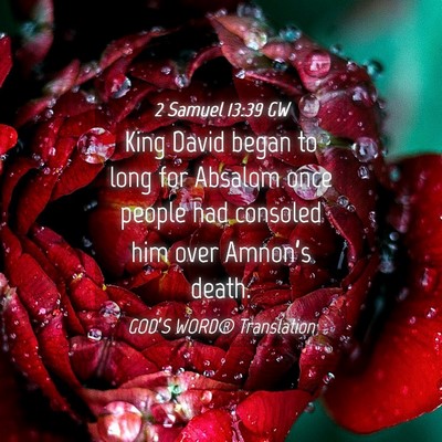 Picture 04 - 2 Samuel 13:39 GW - King David began to long for Absalom once people - Bible Verse Picture