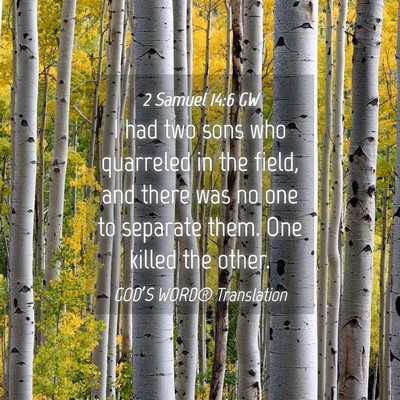 Picture 04 - 2 Samuel 14:6 GW - I had two sons who quarreled in the field, and - Bible Verse Picture