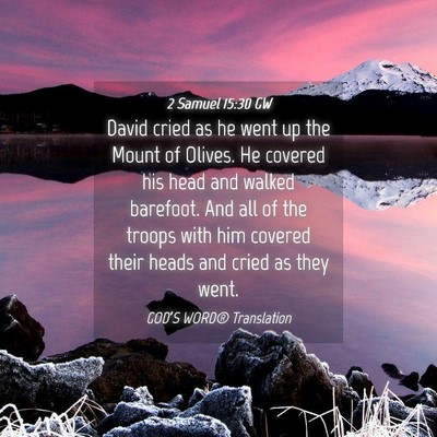 Picture 04 - 2 Samuel 15:30 GW - David cried as he went up the Mount of Olives. He - Bible Verse Picture