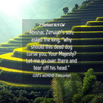 Picture 04 - 2 Samuel 16:9 GW - Abishai, Zeruiah’s son, asked the king, “Why - Bible Verse Picture
