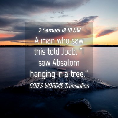 Picture 04 - 2 Samuel 18:10 GW - A man who saw this told Joab, “I saw Absalom - Bible Verse Picture
