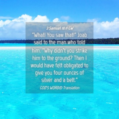 Picture 04 - 2 Samuel 18:11 GW - “What! You saw that!” Joab said to the man - Bible Verse Picture