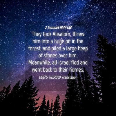 Picture 04 - 2 Samuel 18:17 GW - They took Absalom, threw him into a huge pit in - Bible Verse Picture
