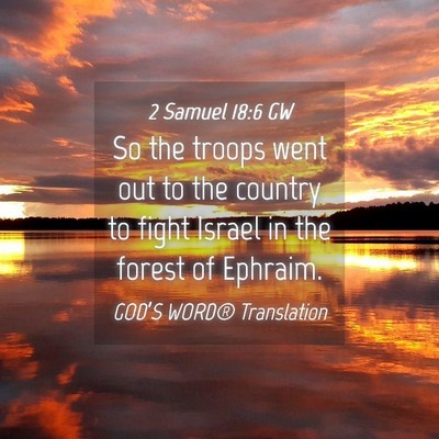 Picture 04 - 2 Samuel 18:6 GW - So the troops went out to the country to fight - Bible Verse Picture