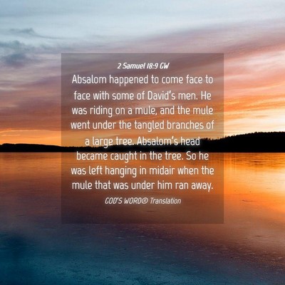 Picture 04 - 2 Samuel 18:9 GW - Absalom happened to come face to face with some - Bible Verse Picture