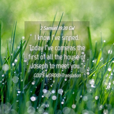 Picture 04 - 2 Samuel 19:20 GW - I know I’ve sinned. Today I’ve come as the - Bible Verse Picture