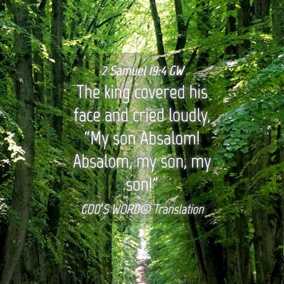 Picture 04 - 2 Samuel 19:4 GW - The king covered his face and cried loudly, “My - Bible Verse Picture
