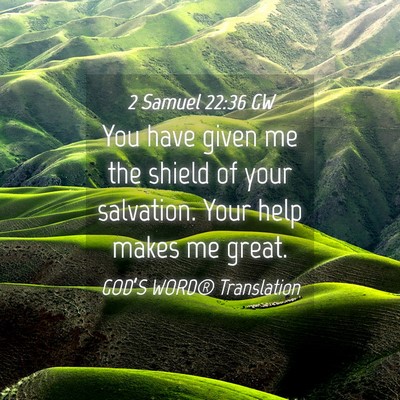 Picture 04 - 2 Samuel 22:36 GW - You have given me the shield of your salvation. - Bible Verse Picture