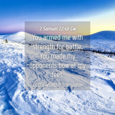 Picture 04 - 2 Samuel 22:40 GW - You armed me with strength for battle. You made - Bible Verse Picture