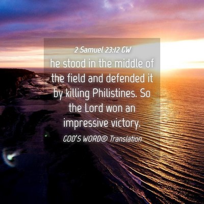 Picture 04 - 2 Samuel 23:12 GW - he stood in the middle of the field and defended - Bible Verse Picture