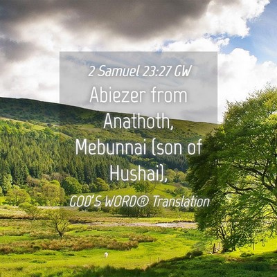 Picture 04 - 2 Samuel 23:27 GW - Abiezer from Anathoth, Mebunnai (son of - Bible Verse Picture