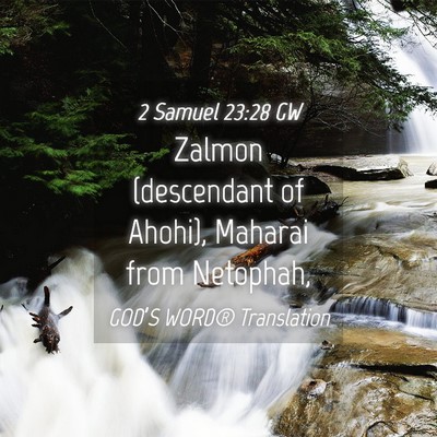 Picture 04 - 2 Samuel 23:28 GW - Zalmon (descendant of Ahohi), Maharai from - Bible Verse Picture