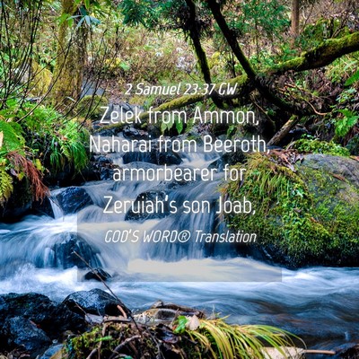 Picture 04 - 2 Samuel 23:37 GW - Zelek from Ammon, Naharai from Beeroth, - Bible Verse Picture