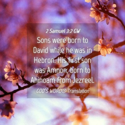 Picture 04 - 2 Samuel 3:2 GW - Sons were born to David while he was in Hebron. - Bible Verse Picture