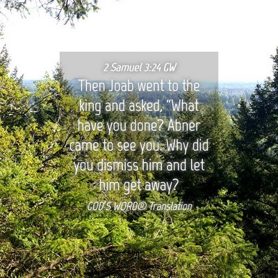 Picture 04 - 2 Samuel 3:24 GW - Then Joab went to the king and asked, “What - Bible Verse Picture