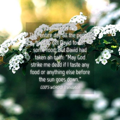 Picture 04 - 2 Samuel 3:35 GW - That entire day all the people tried to get David - Bible Verse Picture