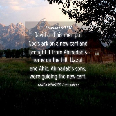 Picture 04 - 2 Samuel 6:3 GW - David and his men put God’s ark on a new cart - Bible Verse Picture