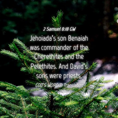 Picture 04 - 2 Samuel 8:18 GW - Jehoiada’s son Benaiah was commander of the - Bible Verse Picture