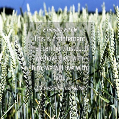 Picture 04 - 2 Timothy 2:11 GW - This is a statement that can be trusted: If we - Bible Verse Picture