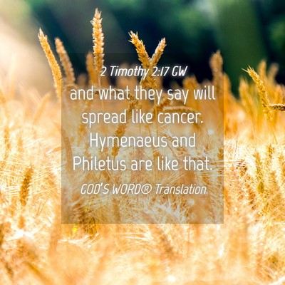 Picture 04 - 2 Timothy 2:17 GW - and what they say will spread like cancer. - Bible Verse Picture