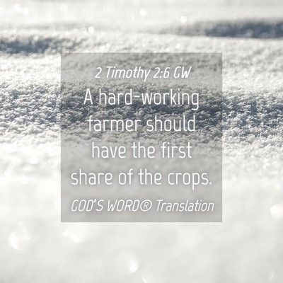 Picture 04 - 2 Timothy 2:6 GW - A hard-working farmer should have the first share - Bible Verse Picture