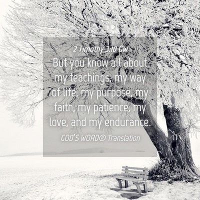 Picture 04 - 2 Timothy 3:10 GW - But you know all about my teachings, my way of - Bible Verse Picture