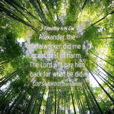 Picture 04 - 2 Timothy 4:14 GW - Alexander the metalworker did me a great deal of - Bible Verse Picture