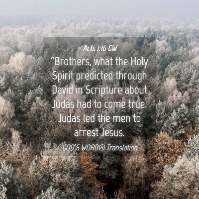 Picture 04 - Acts 1:16 GW - “Brothers, what the Holy Spirit predicted - Bible Verse Picture