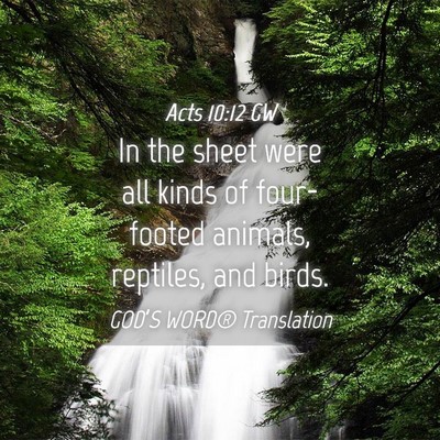 Picture 04 - Acts 10:12 GW - In the sheet were all kinds of four-footed - Bible Verse Picture