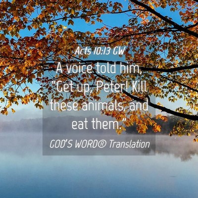 Picture 04 - Acts 10:13 GW - A voice told him, “Get up, Peter! Kill these - Bible Verse Picture