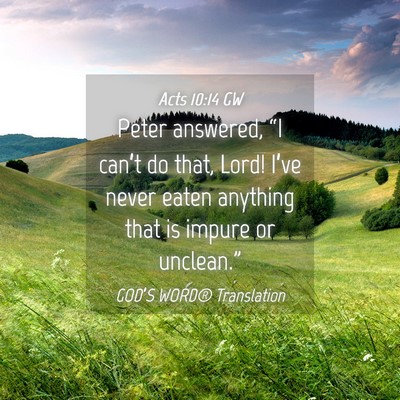 Picture 04 - Acts 10:14 GW - Peter answered, “I can’t do that, Lord! - Bible Verse Picture