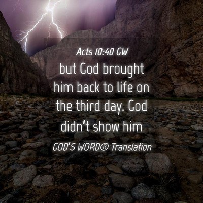 Picture 04 - Acts 10:40 GW - but God brought him back to life on the third - Bible Verse Picture
