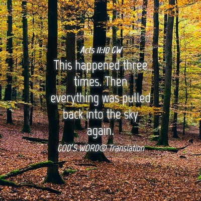 Picture 04 - Acts 11:10 GW - This happened three times. Then everything was - Bible Verse Picture