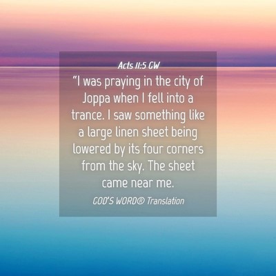 Picture 04 - Acts 11:5 GW - “I was praying in the city of Joppa when I fell - Bible Verse Picture