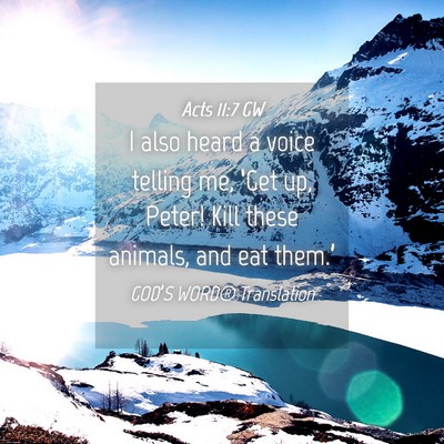 Picture 04 - Acts 11:7 GW - I also heard a voice telling me, ‘Get up, - Bible Verse Picture