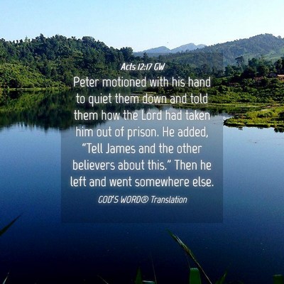 Picture 04 - Acts 12:17 GW - Peter motioned with his hand to quiet them down - Bible Verse Picture
