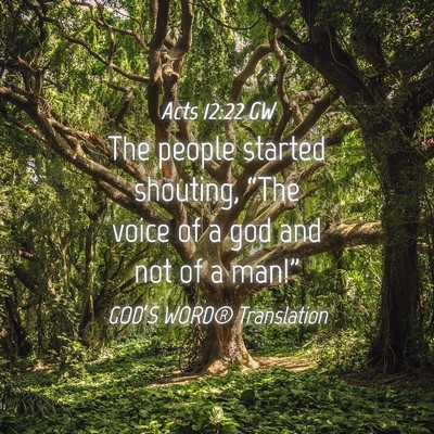 Picture 04 - Acts 12:22 GW - The people started shouting, “The voice of a - Bible Verse Picture