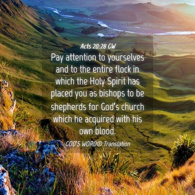 Picture 04 - Acts 20:28 GW - Pay attention to yourselves and to the entire - Bible Verse Picture