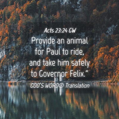 Picture 04 - Acts 23:24 GW - Provide an animal for Paul to ride, and take him - Bible Verse Picture