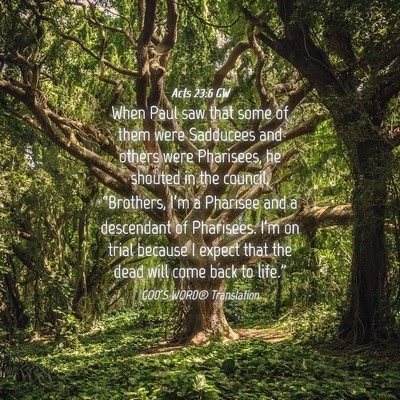 Picture 04 - Acts 23:6 GW - When Paul saw that some of them were Sadducees - Bible Verse Picture