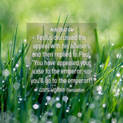 Picture 04 - Acts 25:12 GW - Festus discussed the appeal with his advisers and - Bible Verse Picture
